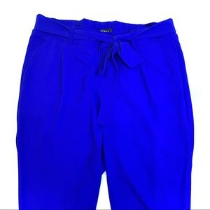 Beautiful Blue Pants from Torrid Size 1X